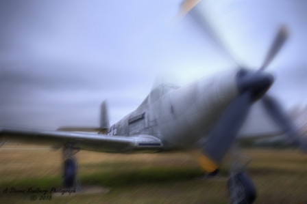 P63_KingCobra4.jpg