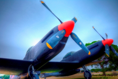 f82_TwinMustang2.jpg