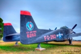 f82_TwinMustang3.jpg