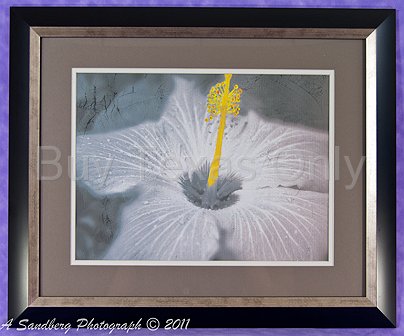 SOLD--Painting: Loaded Pistil