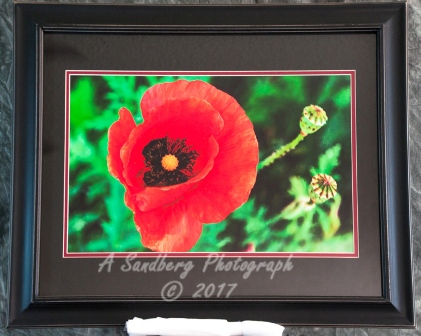 Poppy & Bud