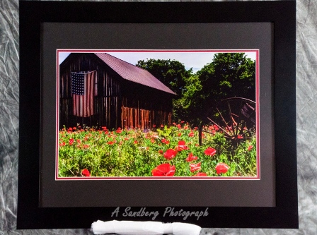 A Poppy Remembrance II