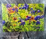 WildFlowers1