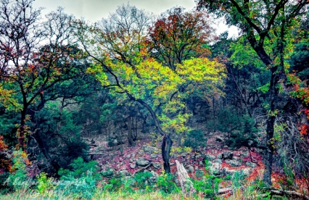 17lostmaples
