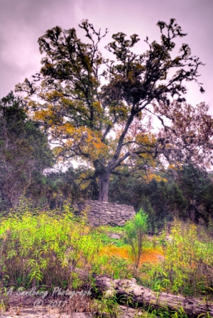 47lostmaples