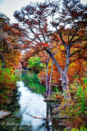 59lostmaples
