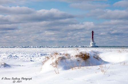 DSC_7739.jpg