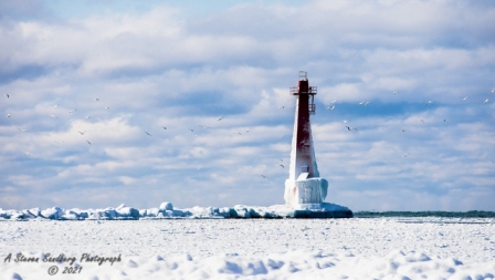 DSC_7756.jpg