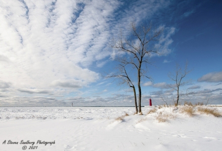 DSC_7759.jpg