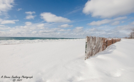 DSC_7779.jpg