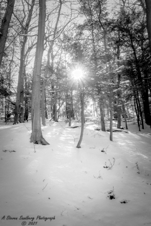DSC_7790.jpg