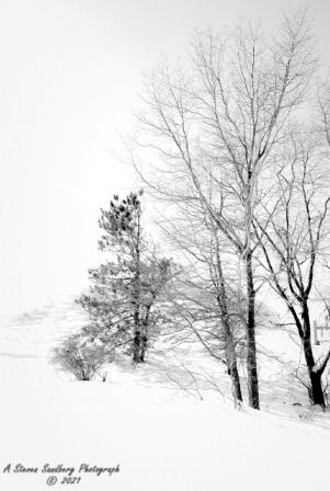 DSC_7794-2.jpg