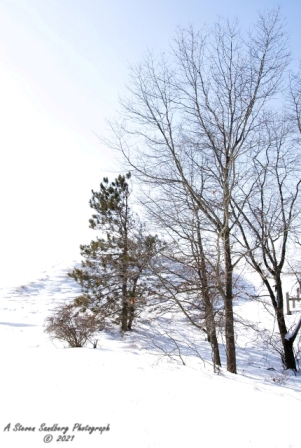 DSC_7794.jpg