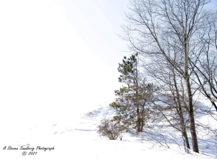 DSC_7795-2.jpg