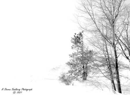 DSC_7795.jpg