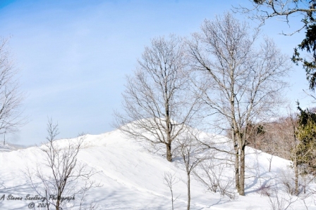 DSC_7798a.jpg