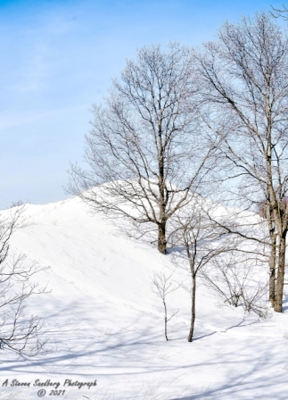 DSC_7801a.jpg