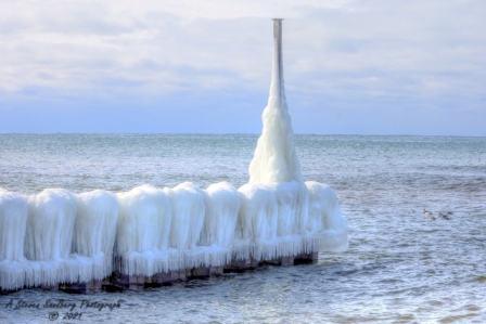 DSC_7821a.jpg