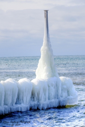 DSC_7823a.jpg