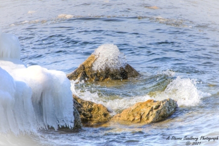 DSC_7827a.jpg