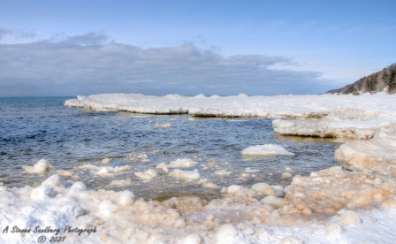 DSC_7832a.jpg