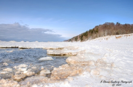 DSC_7834a.jpg