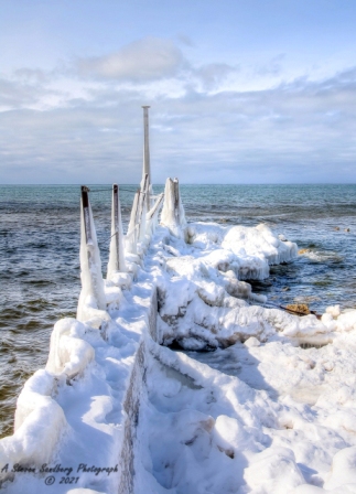 DSC_7835a.jpg