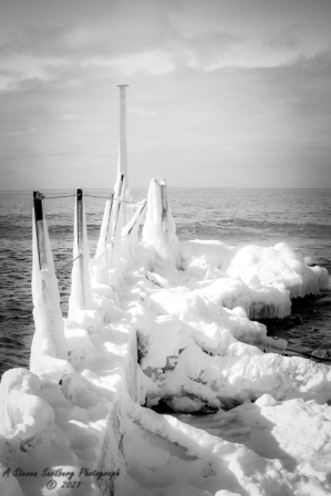 DSC_7836.jpg