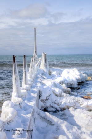 DSC_7836a.jpg
