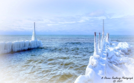 DSC_7838a.jpg