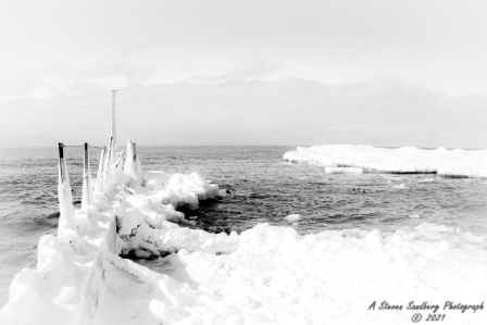 DSC_7844.jpg