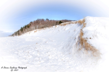 DSC_7847a.jpg