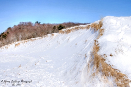 DSC_7848a.jpg