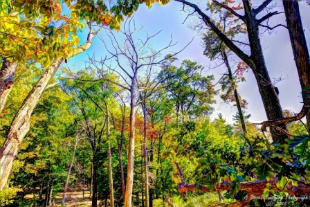 mi091018-15.jpg