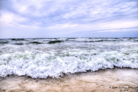 20180828-56.jpg