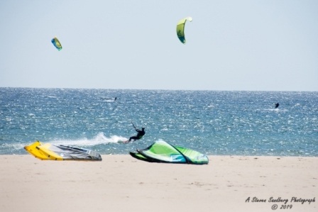 DSC_5568.jpg