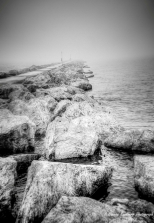 DSC_5881.jpg