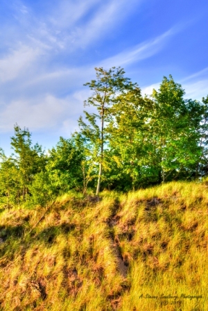 DSC_6647.jpg