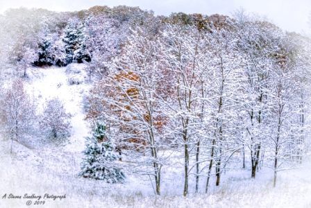 DSC_6890.jpg