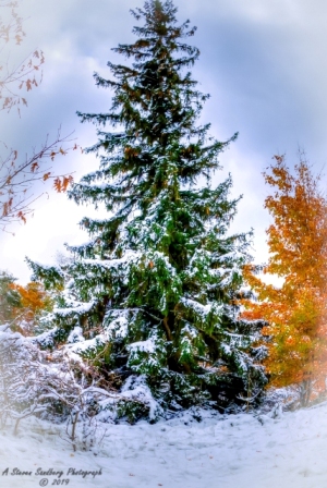 DSC_6945.jpg