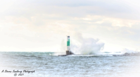 DSC_7621a.jpg