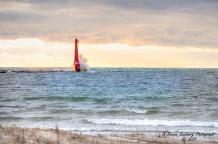 DSC_7671a.jpg