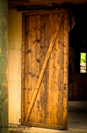 door1