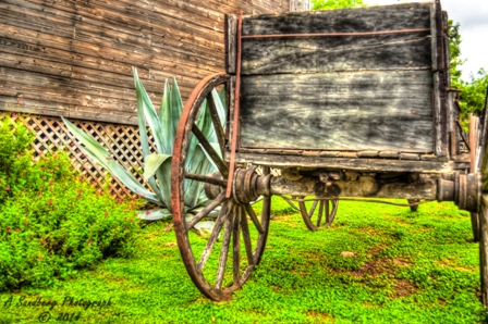 wagon1a