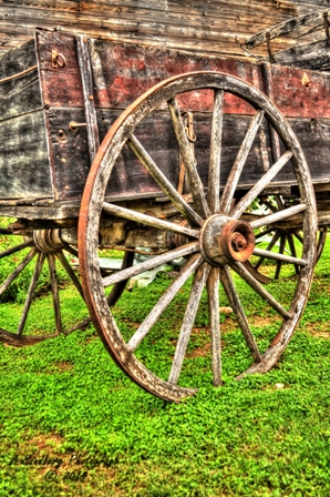 wagon3