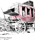 other_coach2