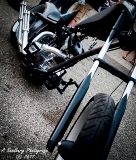 rebelroad-20.jpg