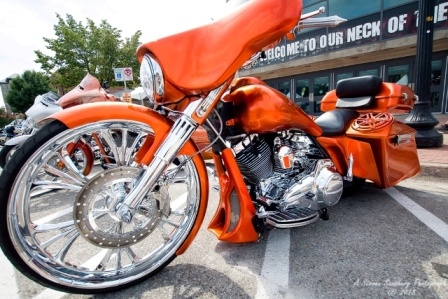 rebel18-9-2.jpg