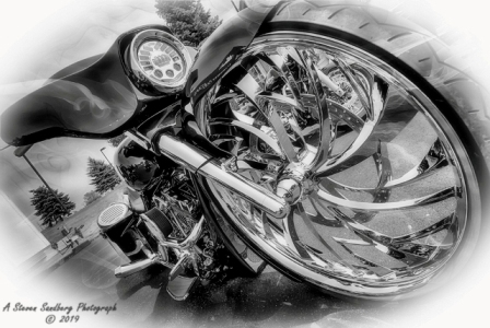 DSC_6326c.jpg