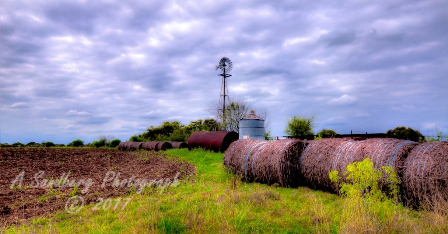 46rustic17.jpg